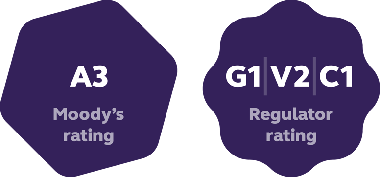 A3 Moody's rating in a purple hexagon and G1/V2/C1 regulator rating in a wavy edged purple circle.