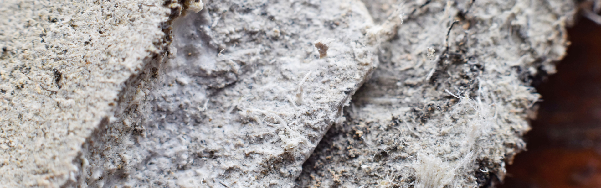 A close up of asbestos fibres