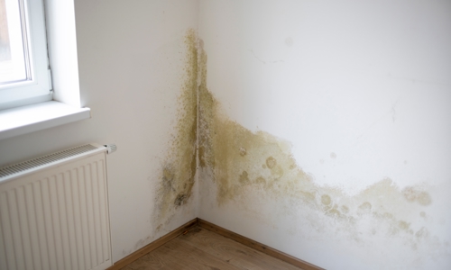 Damp in the corner of a room on the wall