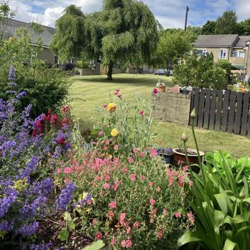 Beautiful community space, green grass with a large tree in the centre with pink, purple and yellow flowers around the border of the garden. The sky above is blue with white clouds.