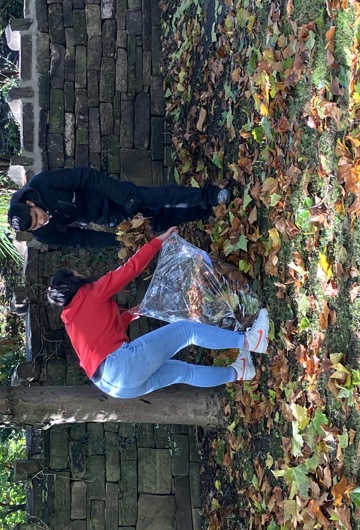 Two people clearing up leaves from the floor 