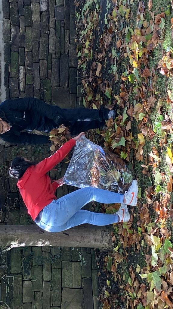 Two people clearing up leaves from the floor 