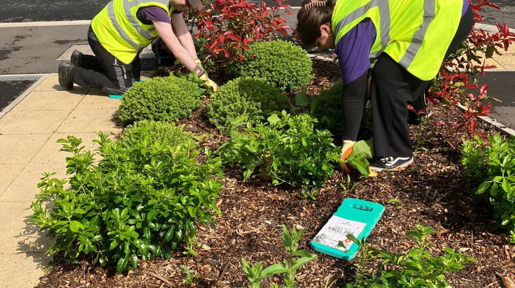 Housing staff planting in the garden